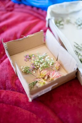 Mariage Amandine & JF — photo 5